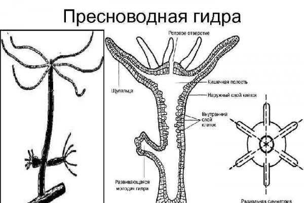 Кракен ссылка официальная