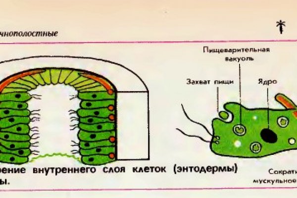 Кракен актуальная ссылка на сегодня